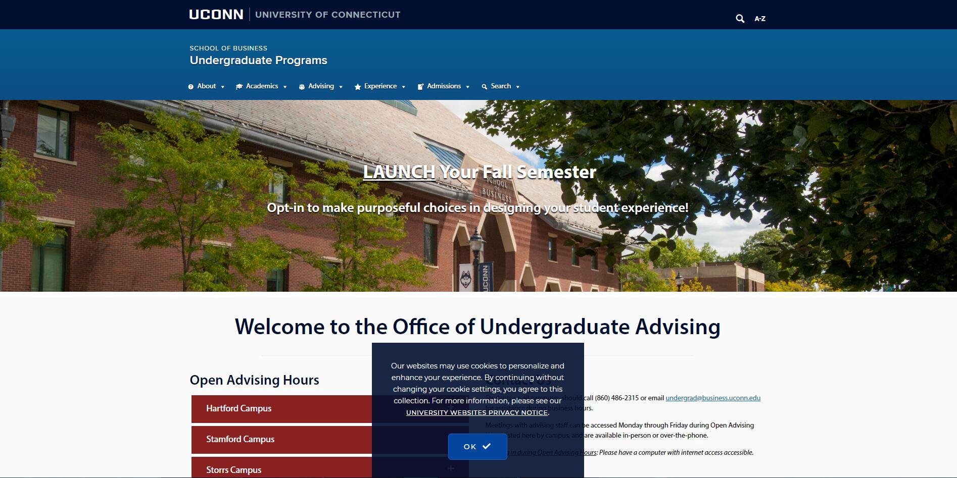 University of Connecticut Undergraduate Business