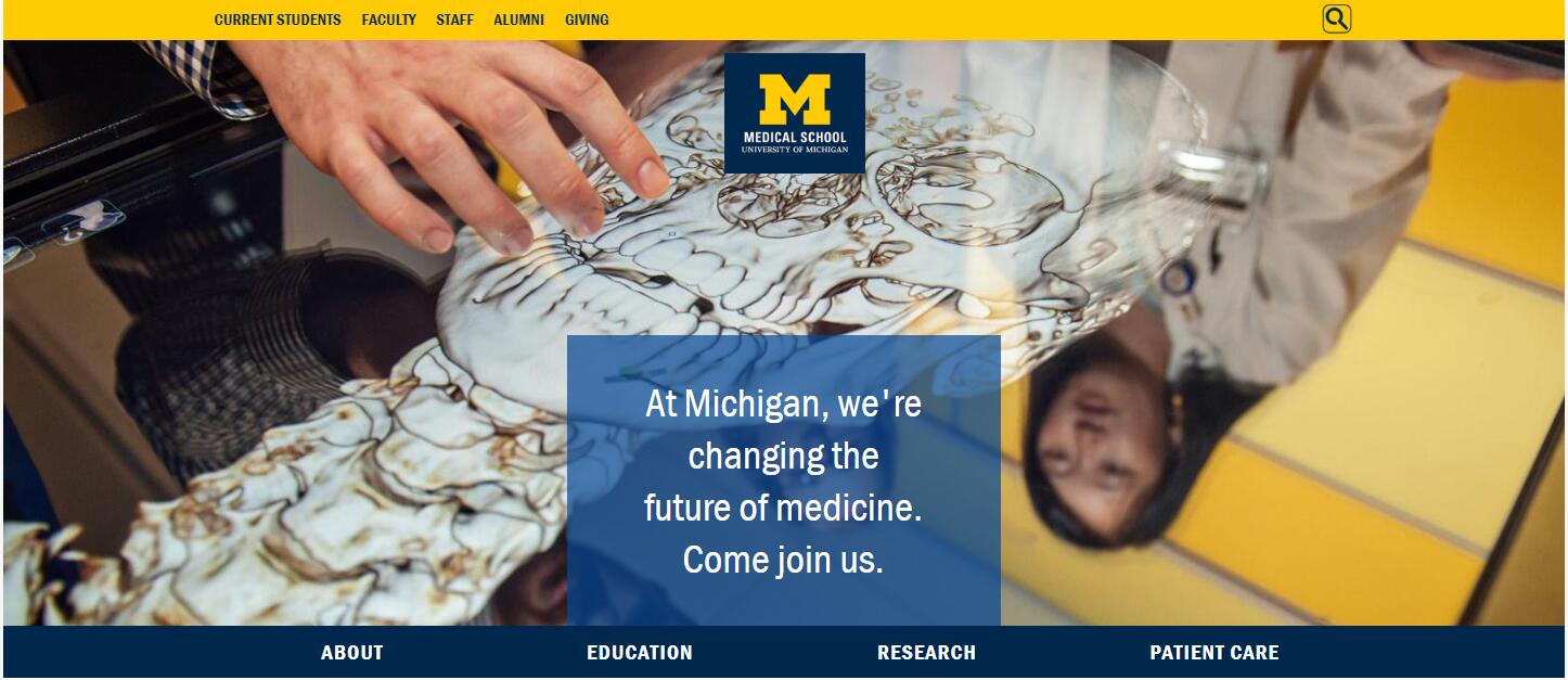 University of Michigan--Ann Arbor Medical School