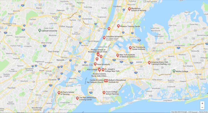 Top Nursing Schools in New York