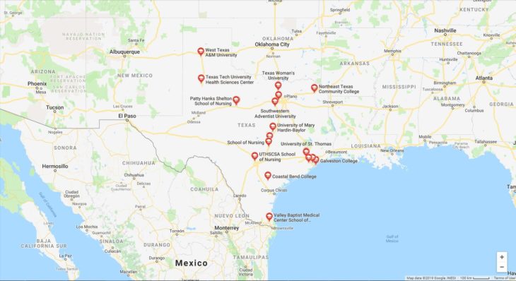 Top Nursing Schools in Texas