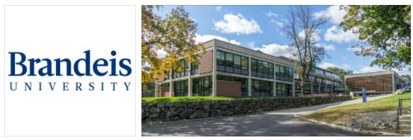 Brandeis University