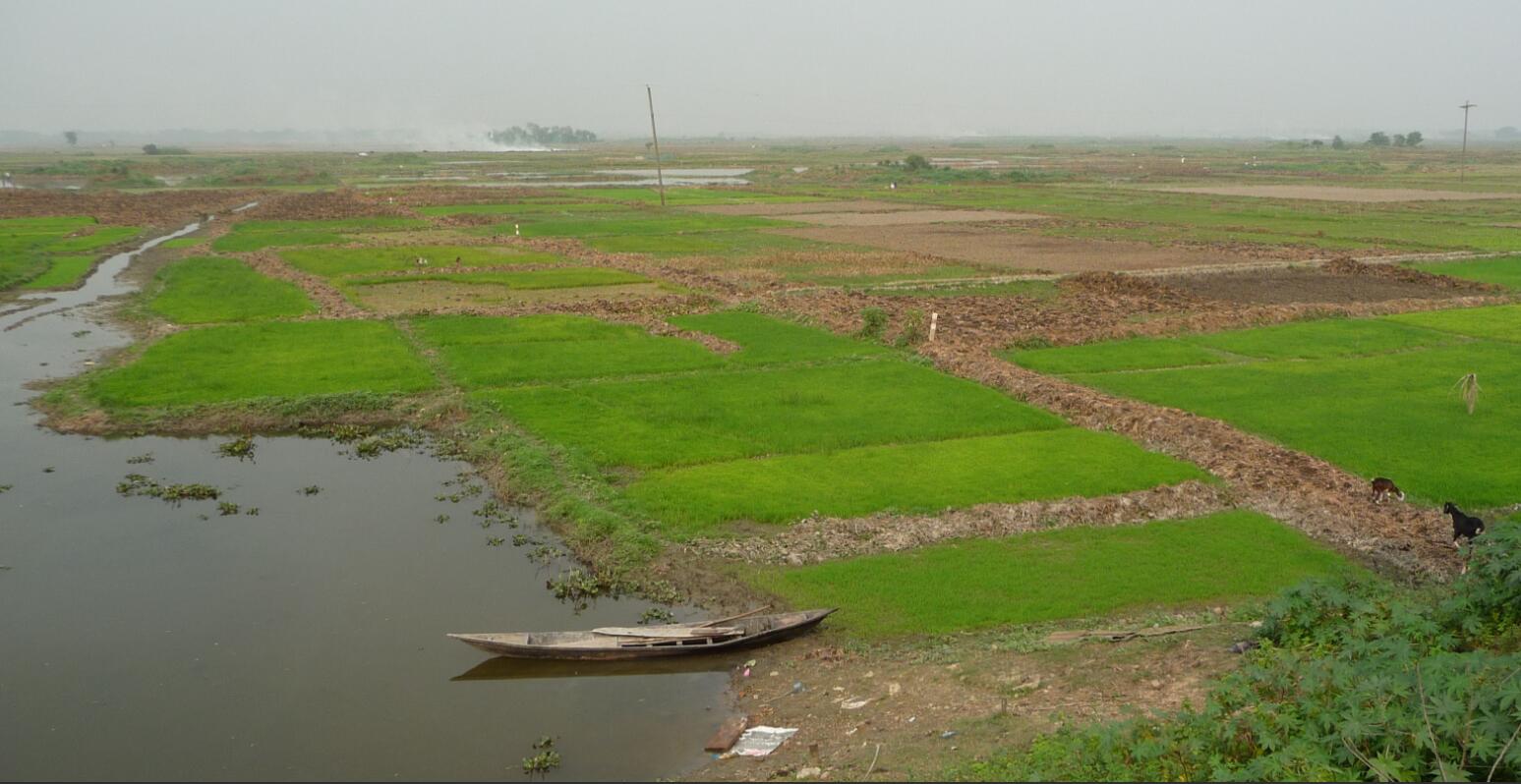 Dry season - agriculture near Nawabganj