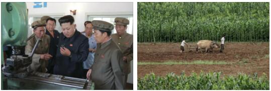North Korea Economic Conditions