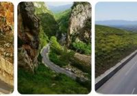 Algeria Road Network