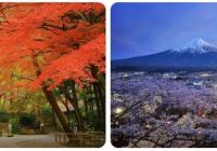 Japan Country Data