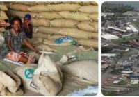 Guinea Industry