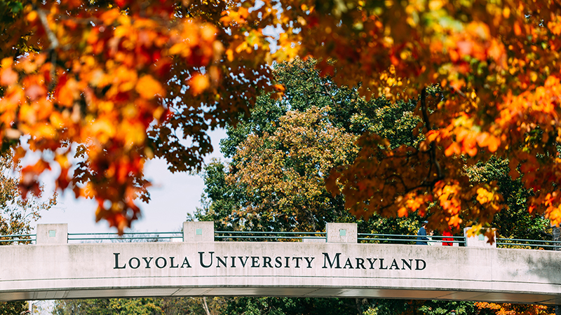 Loyola University Maryland Rankings