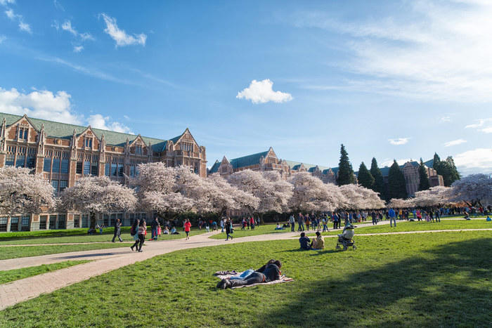 Best Law Schools in Washington DC