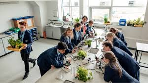 High School CEEB Codes in Russia