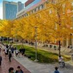 Temple University Rankings