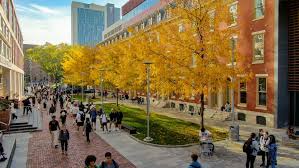 Temple University Rankings