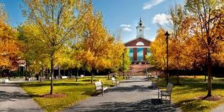 Bentley University Rankings