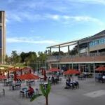 University of California-Riverside Rankings