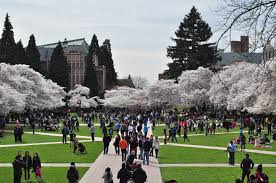 Top Education Schools in Washington