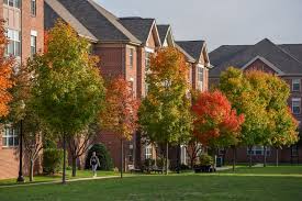 Stevenson University Rankings