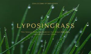 lyposingrass: The Secret Ingredient for Enhanced Wellness