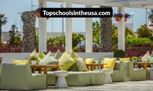 markiseteppe: How This Trendy Carpet Elevates Your Patio Style