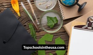pollaste: The Next Big Thing in Sustainable Materials